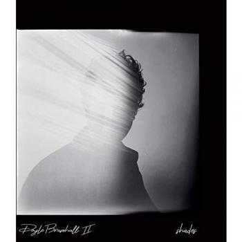 Vinilo Doble 180g Shades + MP3 en Estuche Gatefold