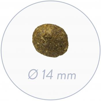 Bosch Pienso Adulto Sin Gluten Cordero y Arroz 1 kg