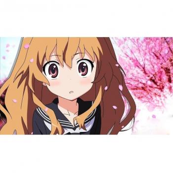 Toradora! (43x24 inch, 106x60 cm) Silk Poster Seda Cartel PJ1F-150F