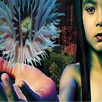 Lifeforms [Vinilo]