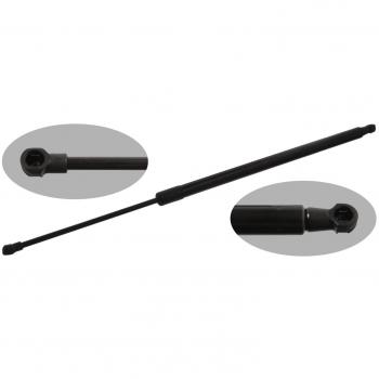 Amortiguador de maletero FEBI BILSTEIN 38231 para BMW 3er E46, Gasfeder izquierda/derecha