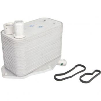Enfriador de aceite THERMOTEC D4V009TT - Enfriador de aceite para motor, alta eficiencia térmica, diseño compacto, fabricado con materiales de calidad, compatible con múltiples modelos de vehículos