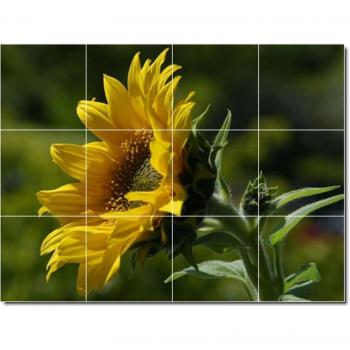 Flores foto baldosa cerámica Mural 27. 36 x 48 cm con