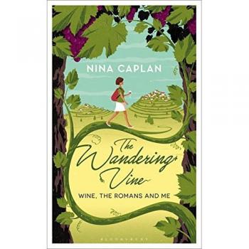 Vino Errante: Selección Exclusiva de Vinos Romanos