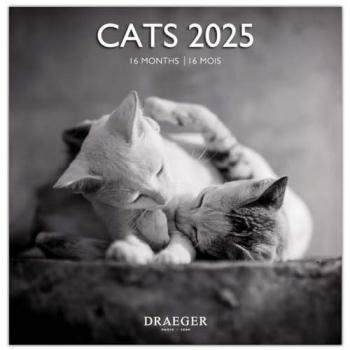 Calendario de Pared 2025 - 16 Meses (Septiembre-Diciembre) - Mes Vista por Página con Motivos de Gatos Blanco y Negro - Tamaño Grande 29 x 29 cm