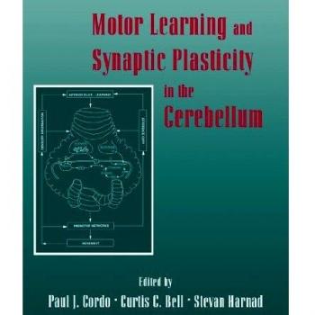 Aprendizaje Motor y Plasticidad Sináptica en el Cerebelo