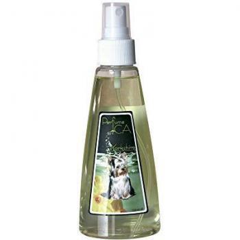 ICA PFP3 Perfume Yorkshire