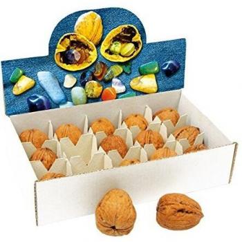 Pequeño pie Compañía de pantallaFortune Nueces Decoraciones del partido para los Niños