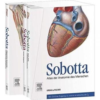 Sobotta, Atlas der Anatomie des Menschen3 Bände und Tabellenheft im Schuber, inklusive Zugang zur Sobotta-Website: Allgemeine Anatomie, ... Kopf, Hals, Neuroanatomie - Tabellenheft, 23e, Pack de 3