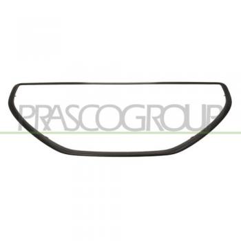 Listón embellecedor protector panal de radiador Prasco PG3262216 Tiras Protectoras para Coches