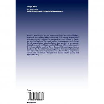 Rapid Cell Magnetisation Using Cationised Magnetoferritin