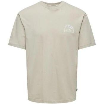 Camiseta Only & Sons Onskylan RLX Icon Blanco Cálido