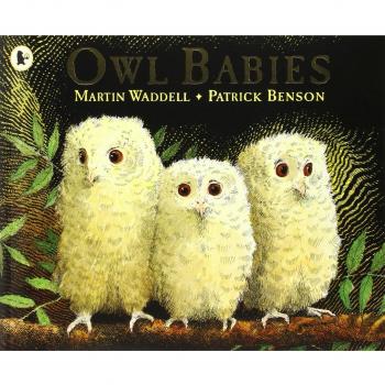 Owl Babies Paperback
