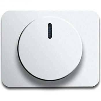 Busch-Jaeger 6540-24G Interruptor