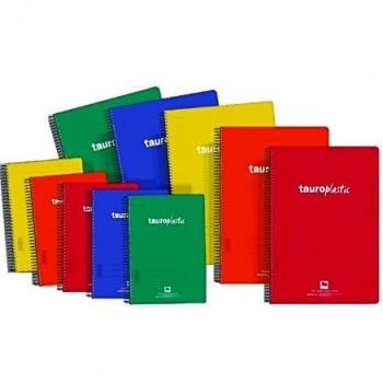 Cuaderno fº 4x4 80h 90grs pp tauroplastic 6285/90-g 062854