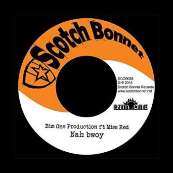 Nah Bwoy / Trailer Lord Riddim [VINYL] [Vinilo]