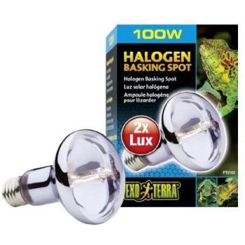 Exo Terra 100W Halogen Basking Spot Lamp