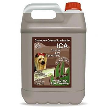 ICA CHPG19 Champú con Aloe Vera para Yorkshire