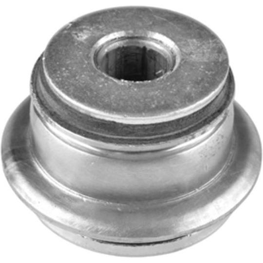 Imagen Principal