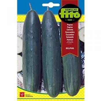 Semillas Fitó 237 - Semillas de Pepino Bellpuig