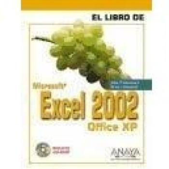 Excel 2002