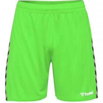 Hummel hmlAUTHENTIC Poly Shorts - Green Gecko, Men's 2XL