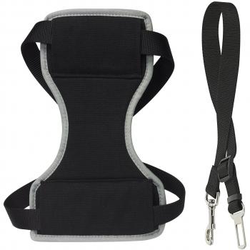 CHAPUIS SELLERIE SLA590 Arnés y Correa de Seguridad de Coche para Perro y Gato - Correa de Nailon Negro - Ancho 10 mm - Dimensiones: 20-35 cm - Talla S