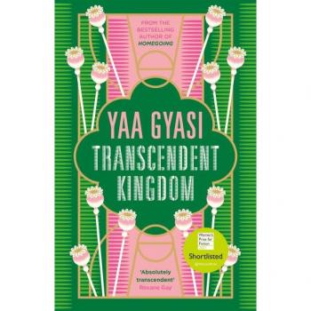 Reino Trascendental: Candidata al Premio de Ficción de Mujeres 2021 por Yaa Gyasi