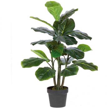Planta Ficus Lyrata de 90 cm - Planta ornamental de interior, hojas grandes en forma de violín, fácil cuidado, ideal para decoración del hogar