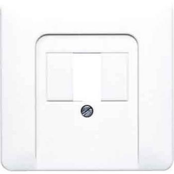PLACA PARA MÓDULO COMUNICACIÓN EIB-KNX/USB BLANCO MARFIL