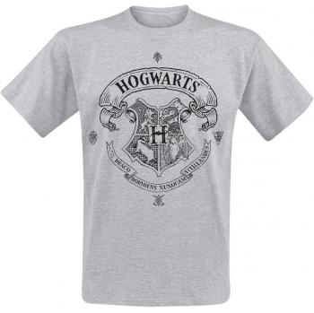 HARRY POTTER Hogwarts Camiseta Gris/Melé XXL