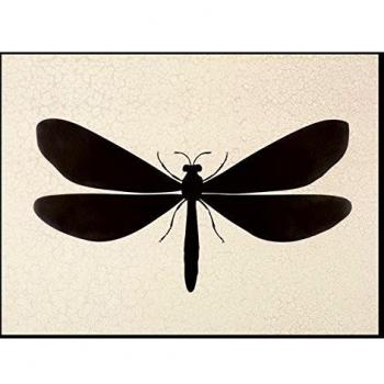 G&C Design 297B encuadre Animal