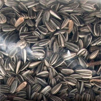 Mezcla de Semillas - FLAMINGO - Semillas de Girasol 3 kg - para Aves Silvestres
