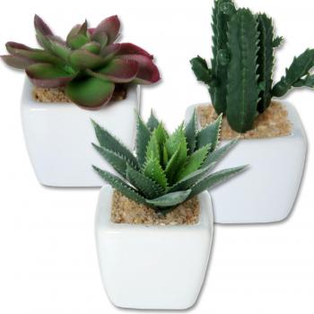 PAME 28988 - Set de 6 macetas con flores artificiales, 10 x 5 x 5 cm