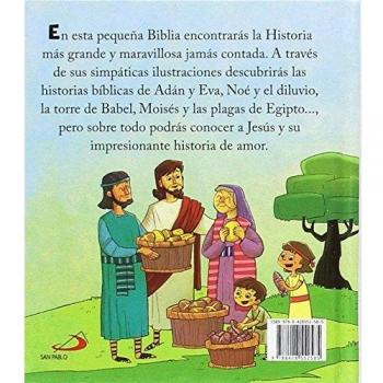 Mi Biblia: La historia más grande en pequeño - Varios Autores