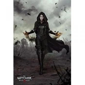 14x21 inch The Witcher 3 Wild Hunt Silk Poster Seda Cartel CGSB-E3B
