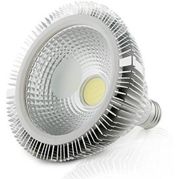 Bombilla de LEDs COB Par38 E27 15W 1350Lm 30.000H