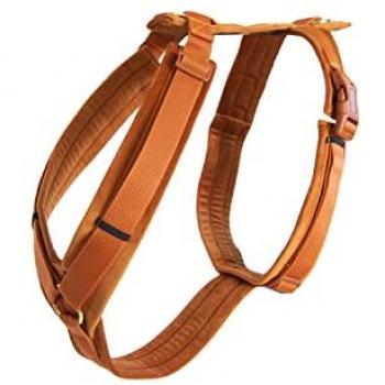Arnés para Perro Activo Kentucky Terciopelo Naranja XL (48-70 cm)