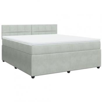 Cama box spring con colchón de muelles y terciopelo gris claro 180x200 cm