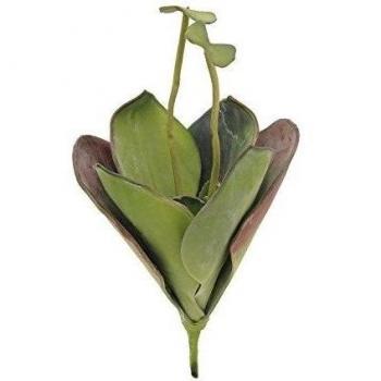 artplants.de Nenúfar Artificial en vareta, Verde, 45cm - Exteriores - Planta Artificial