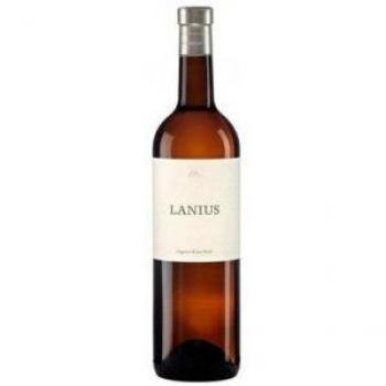 AA Lanius 2017