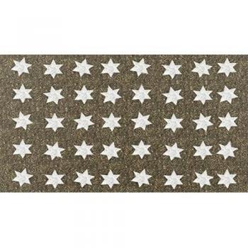 F & S SHOE-CLEANER 65 x 110 cm CIELO ESTRELLA GRIS PARDO felpudo alfombra de alta calidad, robusto. Para la entrada , pasillo o en la cocina. Lavable a máquina a 30 grados. Fabricado en Europa occidental.