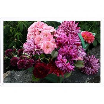 Metal cartel Cartel de chapa Hojalata sesión Flower Tin Sign Chrysanthemums Dahlias Roses Flowers Herbs Tray 38025 Retro Vintage Pared Decoración by hamgaacaan