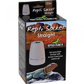 Reptiles Planet iluminación Cerámica Vaso para terrarios Repti Socket