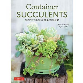 Container Succulents: Creative Ideas for Beginners