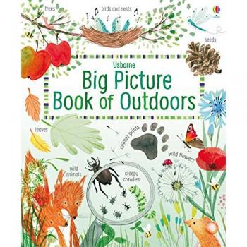 Big Picture Book Outdoors