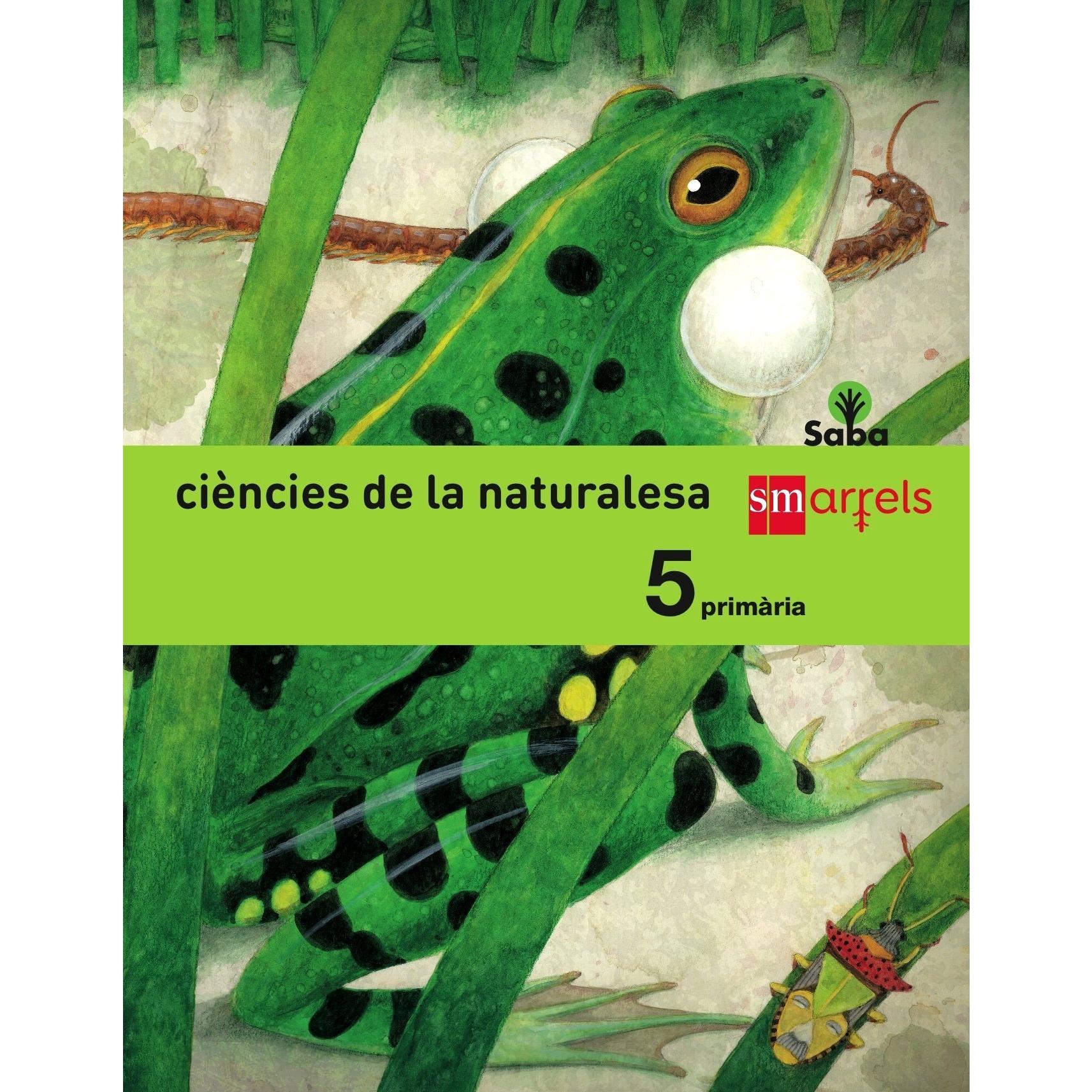 Imagen Principal