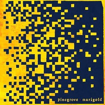 Marigold vinilo