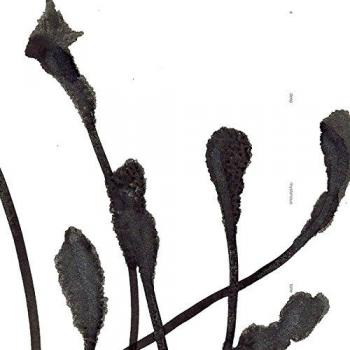 A Deep Myerious Tone
