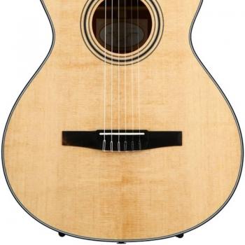Taylor 312ce-N Grand Concert Nylon String Electro Acoustic Guitar